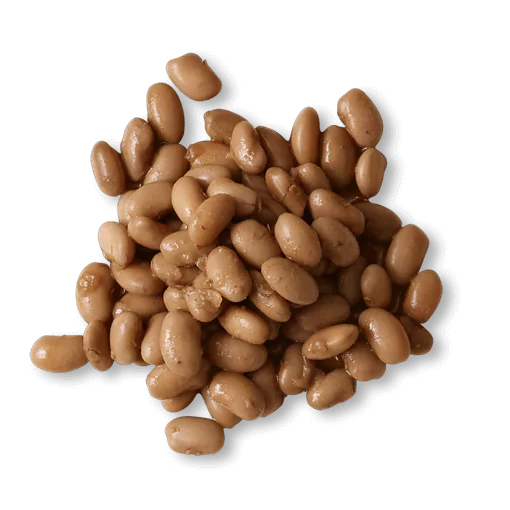 pinto beans